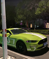 ���������ġ�ƻ���̣������ԭ�ϵ�Ұ��