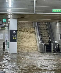 �����׶�����80������ǿ�ش��꣬һ�й���������