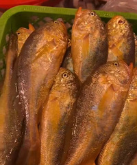 220Ԫһ��÷ͯ��һ�㶼ʲô����ģ�