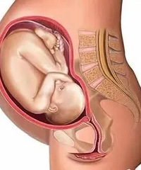 ����ǰ���ӹ�������ʲô�仯����С������⼸��ͼƬ������