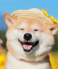 86�꽷����㣬���죬�����У�����ƫСƫ��