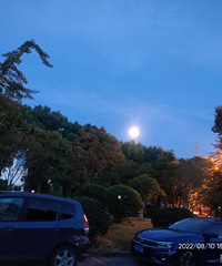 �������ı�����������һֱ��Ϊ������