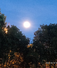 �������ı�����������һֱ��Ϊ������