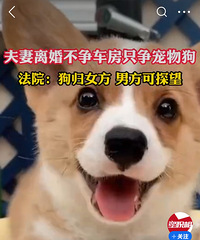 �㽭80�������鲻������ֻ�����ﹷ����Ϊ�����Ϸ�ͥ��