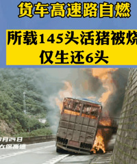 ��������·��ȼ������145ͷ�������գ�������6ͷ