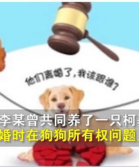 80�������鲻�����ӳ��ӣ�ֻ������4��Ŀ»�Ȯ