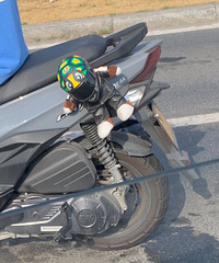 ���������ġ��������̫��Ȥ����