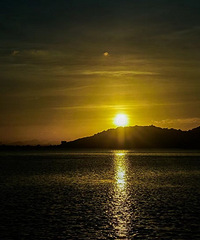 ���ȵ�������ӻƽ������˸�����