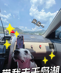 [����]ǧ����֮�ã��׸��ر��ؿ�ζ�������д󳦡�÷�˸�