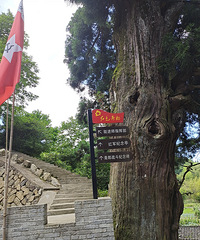 ������ͦ�������ϡ�D7ͦ��ի�ɴ�