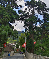 ������ͦ�������ϡ�D7ͦ��ի�ɴ�