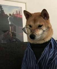 �Ҵ���ǲ��ˣ������ִ�绰�����������ҵ�һ��Ӧ���Ƿ���