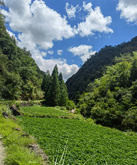 һ·����걽�Դ��é�⣺�Ӷ���֮������ɽ���������߽�