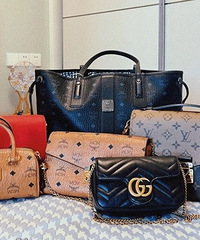 ɹɹ�������6ֻ����&���ư����ϼ������ڱ�����������һֻ