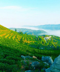 [����]̨���з�������������·����ƪ