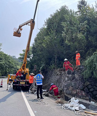 �����׸�¥���У�93��/184cm/�ٺ�/����