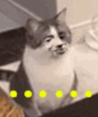 �����󶴳��������򿨵أ��ŵ�ʩ������ҹ�ⶴ...