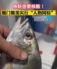 �����������᣿���ػ�Ӧ...