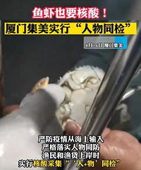 �����������᣿���ػ�Ӧ...