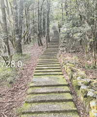 ˫Ϫ����é�⡢¯᮷���ɽׯ���ߴ�Խ