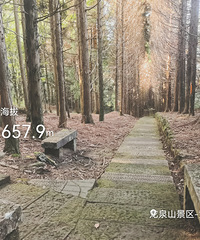 ˫Ϫ����é�⡢¯᮷���ɽׯ���ߴ�Խ