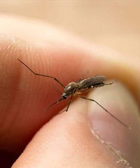 �����û�ио���������û���ӣ�ʲôԭ��