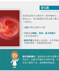 �������������� ������̥�����׷�������Щ���٣�