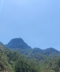 ���ɾ�����Ŵ��䣬����Ұ��¶Ӫ��ˮ����һ����