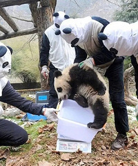 ������Ƭ���ˣ����ѣ���è�²��²�֪������ͦ�µ�