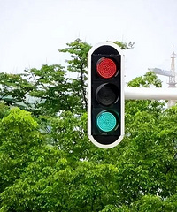 �¹�����̵��������������������ʮ���ӱ�������ز�