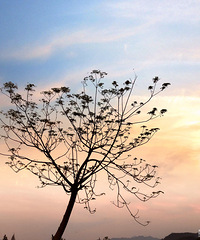 99��GG�������ˣ����Ҹ����� һ�������õ�δ��