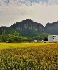 [����]ȥ̨�����ĸ�����ʤ������