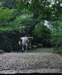 лŵϵİŵʶš̨²м