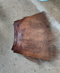 ���������������������