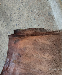 ���������������������