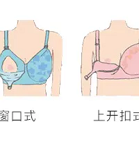 ��������ѡ��ָ�ϣ������������µĿ�ʽ��Ʒ�ơ�ѡ��Ҫ��