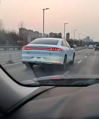 Ϊʲô��Ҷ��Ʋ���綯������