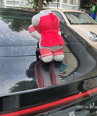 ���������ġ�С������ɣ�����ס��