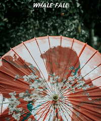 ������ա���Ӱ���䡢�������롢˾���䰮����ױС�䡢�����ޱ