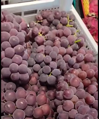 ����ɽ���Ѽ��ڿ��ȥ�ˣ��㻳����