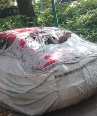 �³��ŵ����ϣ����ϵ��Ҳ��̶�