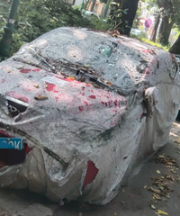 �³��ŵ����ϣ����ϵ��Ҳ��̶�