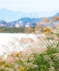 [����]����·�����������ξ�Ʒ·��