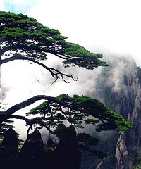 ���ݡ���ɽ��������Ͽ��