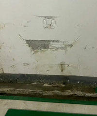 ���궼ײ��ȥ�ˣ��˲Ű�