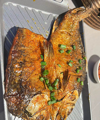 ��������ʳ�ֲݡ�������ʳ�ġ��Ŵ忾�Ի�