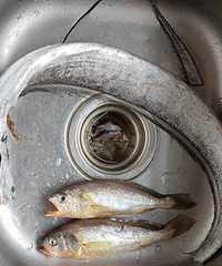 ���ܷ��彿����÷ͯ�����ǣ�С���㡣������