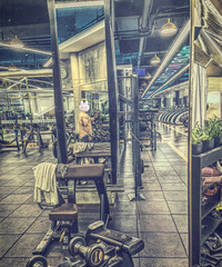 �����ҵĽ����ɹ����У�37��/180cm/����