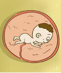 �������������������̥��������Щ��ͬ