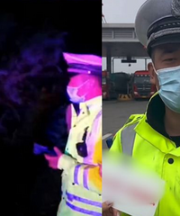 ���پ�Ԯ��̥��Ҫ2500�������������������㵥λ������